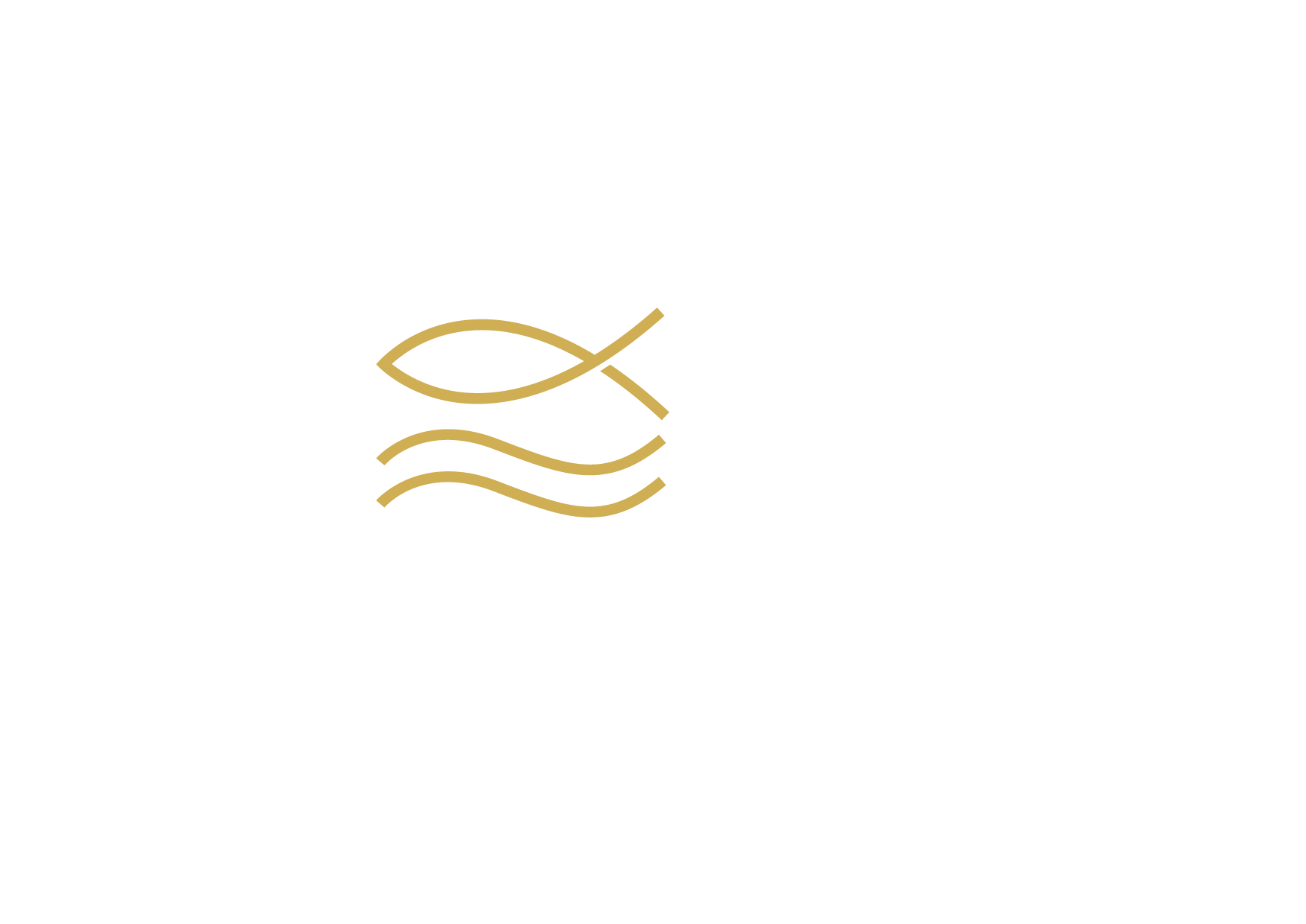 logo_ami